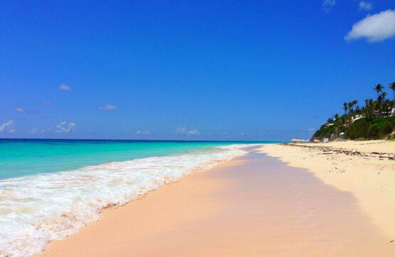 bermuda beaches elbow beach